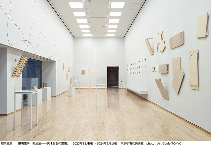 豊嶋康子 発生法──天地左右の裏表 at 東京都現代美術館