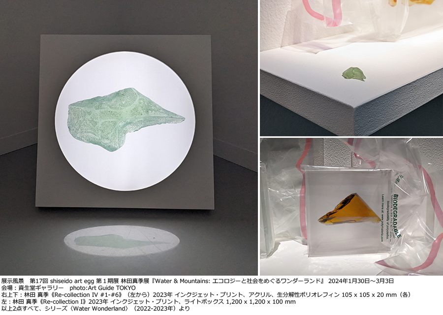 第17回 shiseido art egg　第1期　林田 真季展 『Water & Mountains: エコロジーと社会をめぐるワンダーランド』